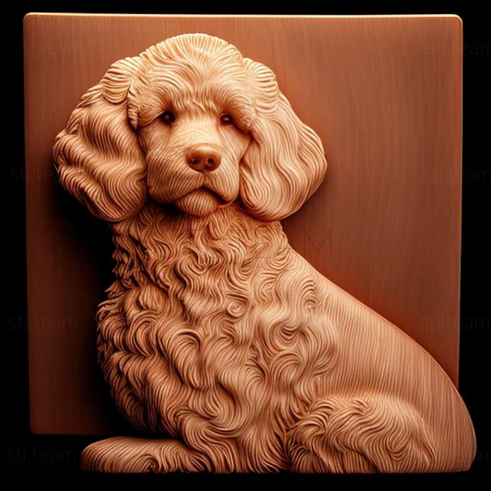 3D модель Chien particolor a poile frise dog (STL)